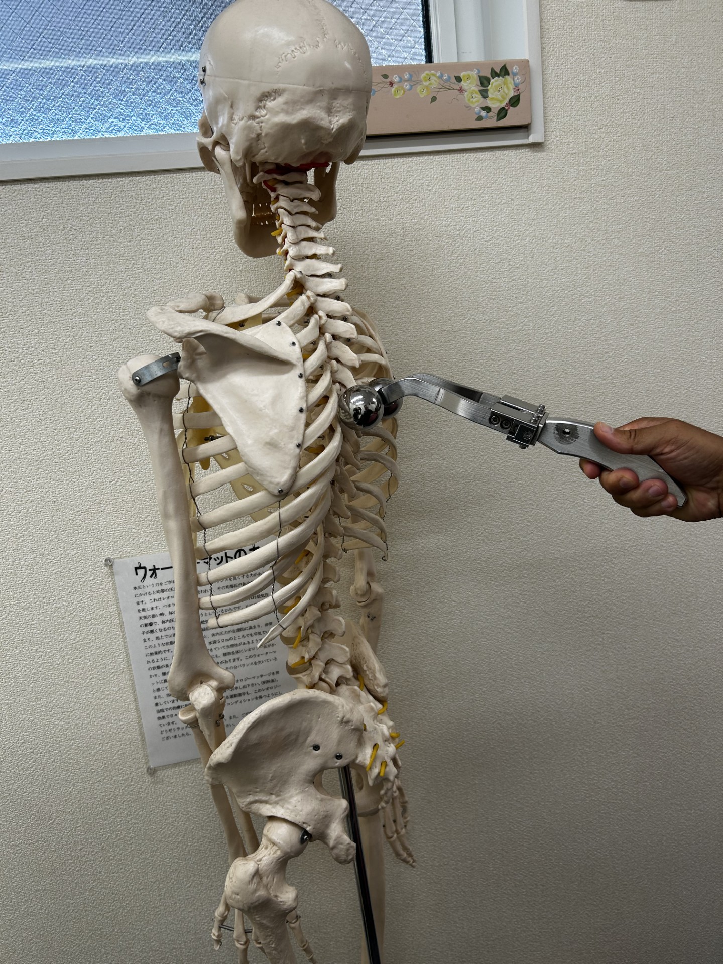 アオ骨盤ケア整骨院