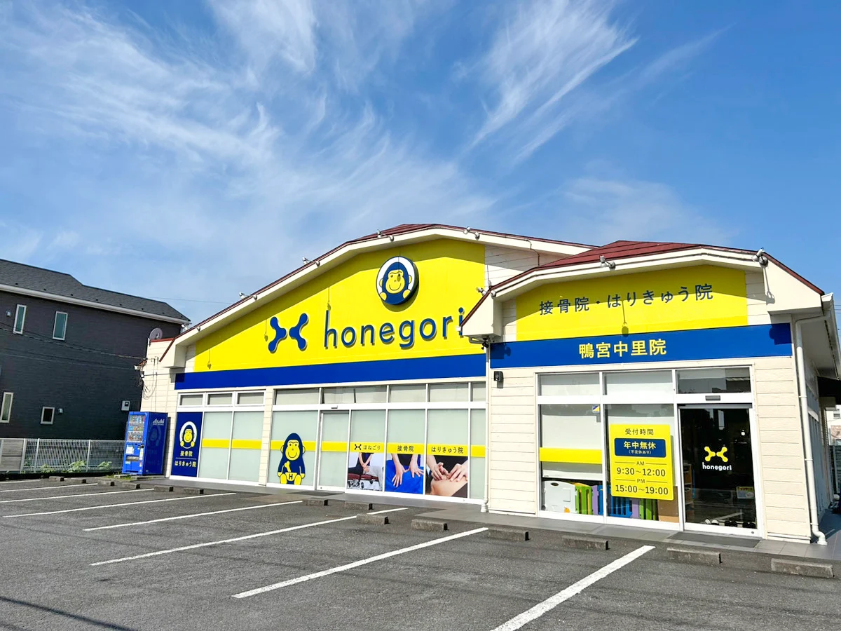 ほねごり接骨院・はりきゅう院 鴨宮中里院