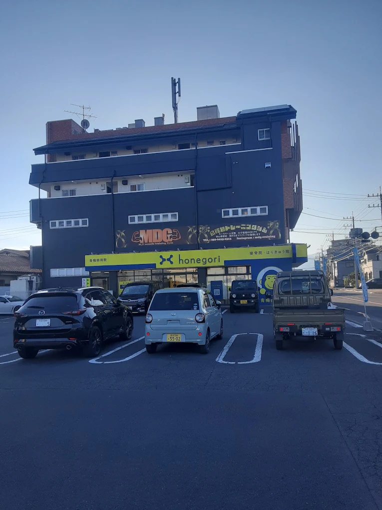 ほねごり接骨院・はりきゅう院 青梅師岡院