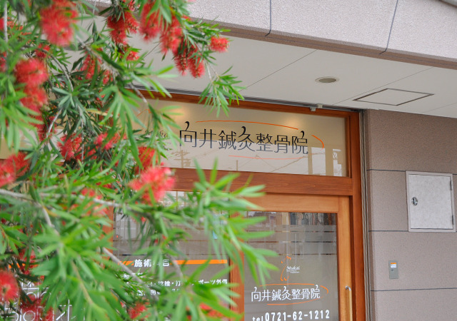 向井鍼灸整骨院