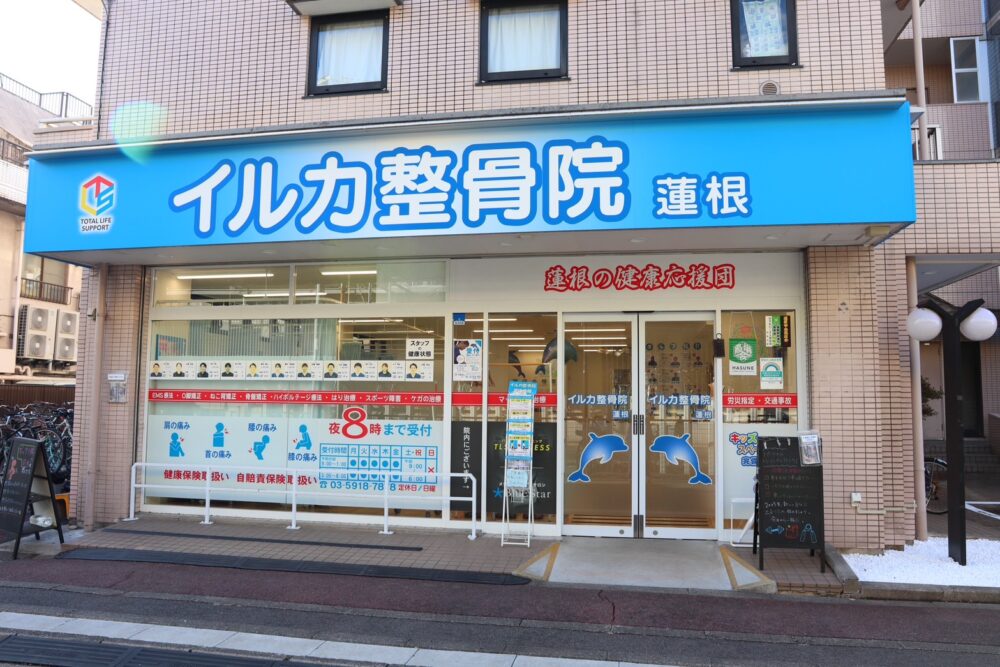 イルカ整骨院 蓮根院