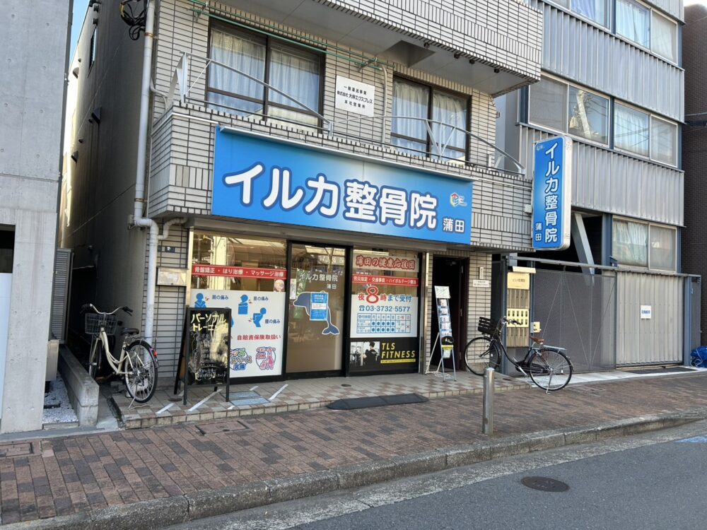 イルカ整骨院　蒲田院